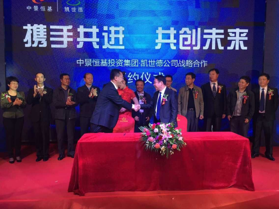 凱世德公司股權(quán)托管項(xiàng)目_