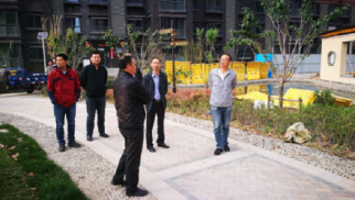集團(tuán)總裁張睿調(diào)研鳳祥銘居項目建設(shè)情況
