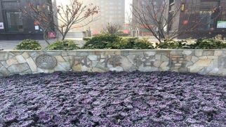 鳳祥銘居二期順利交房，業(yè)主喜獲新居