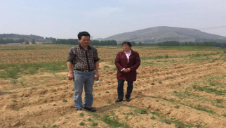 南京農(nóng)業(yè)大學(xué)教授深入中景農(nóng)科公司丹參種植基地調(diào)研指導(dǎo)